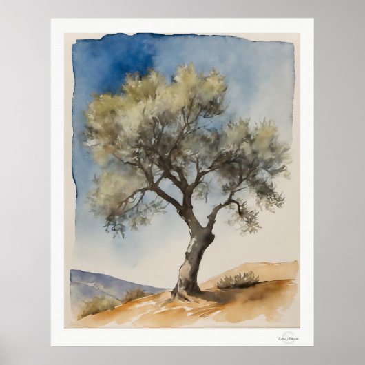 Solitary Olive Tree Botanical Art Print ポスター (正面)