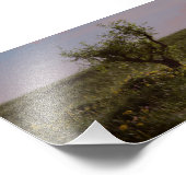 Solitary Tree フォトプリント (角)