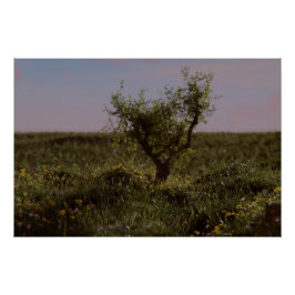 Solitary Tree Poster ポスター