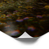 Solitary Tree Poster ポスター (コーナー)