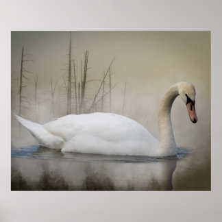 Solitude ポスター