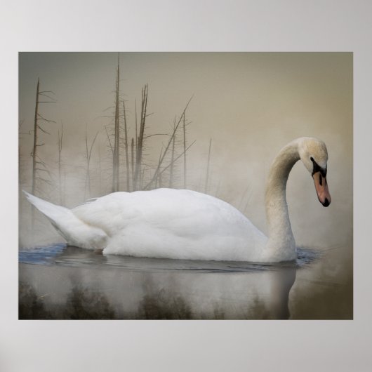 Solitude ポスター (正面)