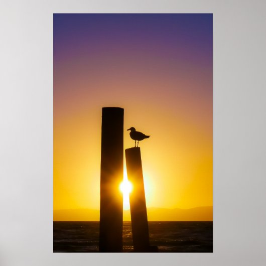 Solitude at Dusk ポスター (正面)