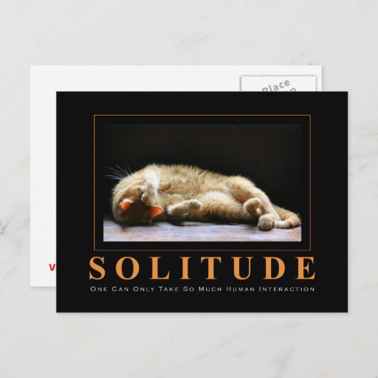 SOLITUDE CAT写真アンチやる気を起こさせる- ポストカード (正面/裏面)