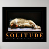 SOLITUDE CAT写真用アンチポスやる気を起こさせるター ポスター (正面)