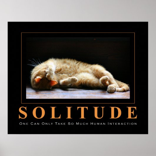 SOLITUDE CAT写真用アンチポスやる気を起こさせるター ポスター (正面)