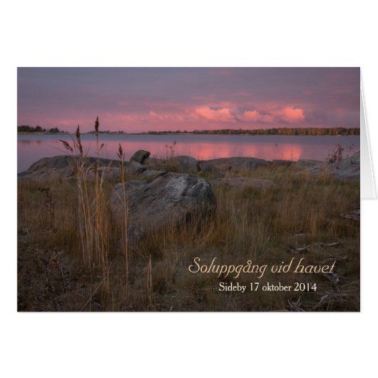 Soluppgong vid havet CC0759 Siipyy (正面横)