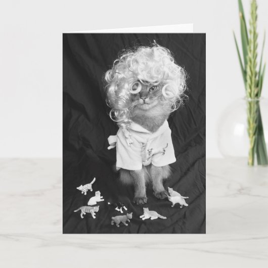 Somali Cat熱狂するな猫の女性 カード (正面)