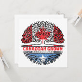Somalia Somali Canadian Canada Tree Roots Flag カード (正面/裏面インサイチュ)