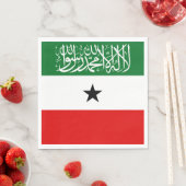 Somaliland Flag スタンダードランチョンナプキン (インサイチュ)