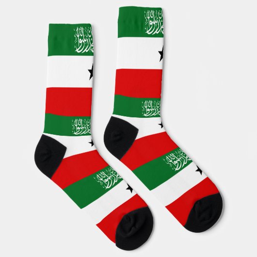 Somaliland Flag ソックス (右)