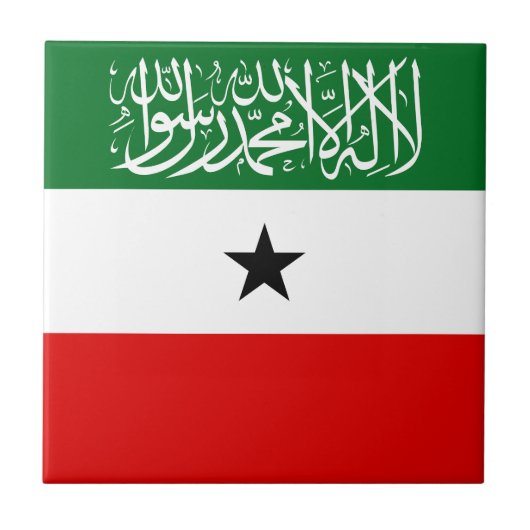 Somaliland Flag タイル (正面)