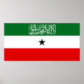 Somaliland Flag ポスター (正面)