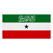 Somaliland Flag ポスター (正面)
