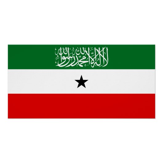 Somaliland Flag ポスター (正面)