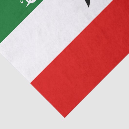 Somaliland Flag 薄葉紙 (詳細)