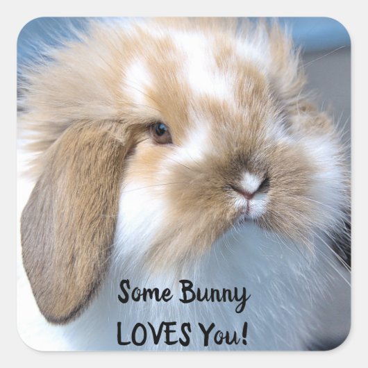 Some Bunny Love You - Fluffy Holland Lop スクエアシール (正面)