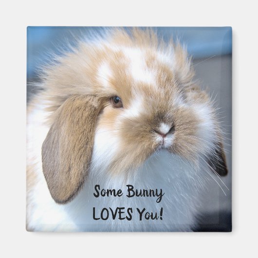 Some Bunny Love You - Fluffy Holland Lop マグネット (正面)