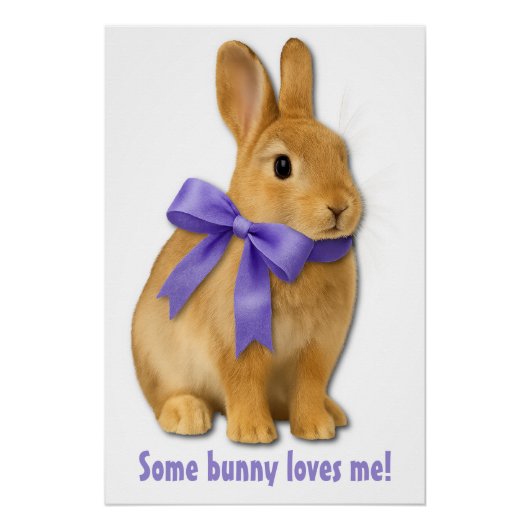 Some bunny loves me! ポスター (正面)