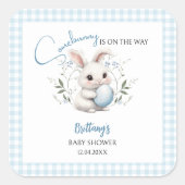 SomebunnyはBoy Easter Baby Showerの途中にある スクエアシール (正面)