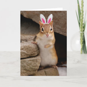 Somebunny Loves You Chipmunk シーズンカード