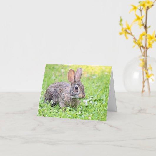 Somebunny to Love Note Card カード (黄色い花)