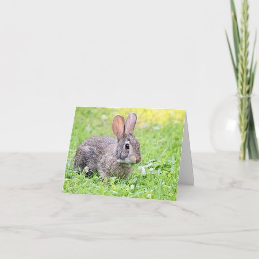 Somebunny to Love Note Card カード (正面)