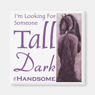 Someone Tall Dark & Handsome - Frisian Horse マグネット