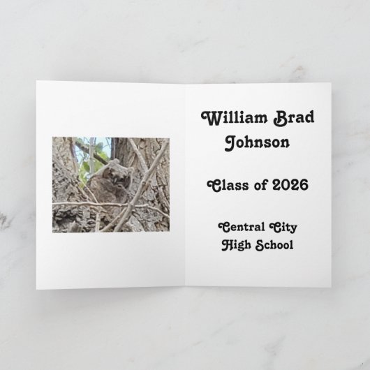 Someone's Graduating Owlet in Tree  カード (内部)
