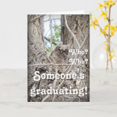 Someone's Graduating Who Who Owlet in Tree  カード (黄色い花)