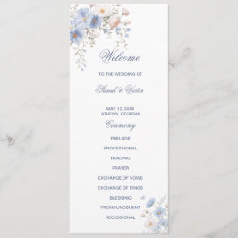 Something Blue Double Sided Flat Program プログラム