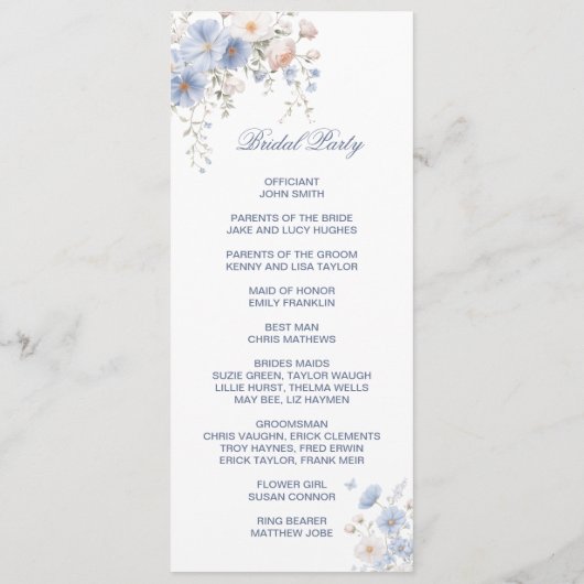 Something Blue Double Sided Flat Program プログラム (裏面)