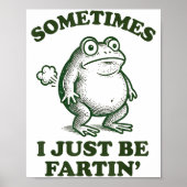 Sometimes I Just Be Fartin' Funny Frog  ポスター (正面)