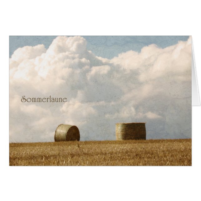 Sommerlaune (正面横)