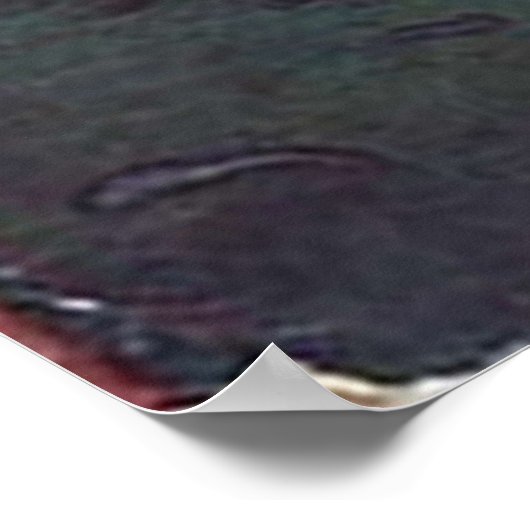 Somnium Books — Dan Crow The Moon Fairy ポスター (角)