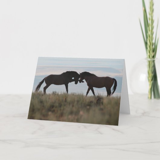 "Son & Sire"マスタングワイルドカード カード (正面)