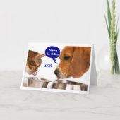 SON-U R SO MAYおもしろい=おもしろい誕生日WISHES カード (正面)