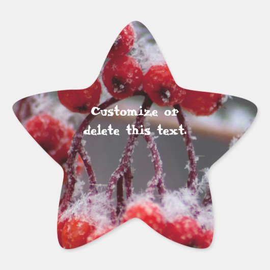 SONB雪の果実；カスタマイズ可能 星シール (正面)