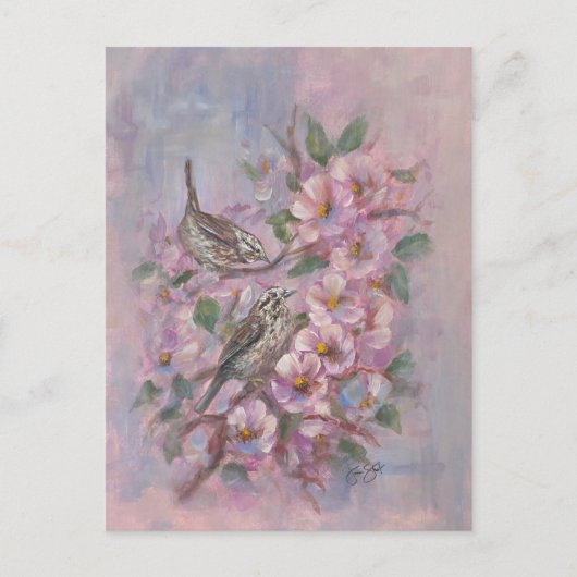 Song Sparrow ポストカード (正面)