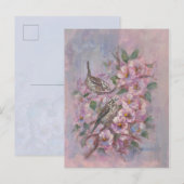 Song Sparrow ポストカード (正面/裏面)