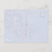 Song Sparrow ポストカード (裏面)