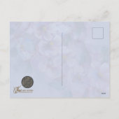 Song Sparrow Holiday Postcard シーズンポストカード (裏面)