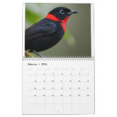 Songs in Flight: 2026 Bird Photography Calendar カレンダー (2月 2026)