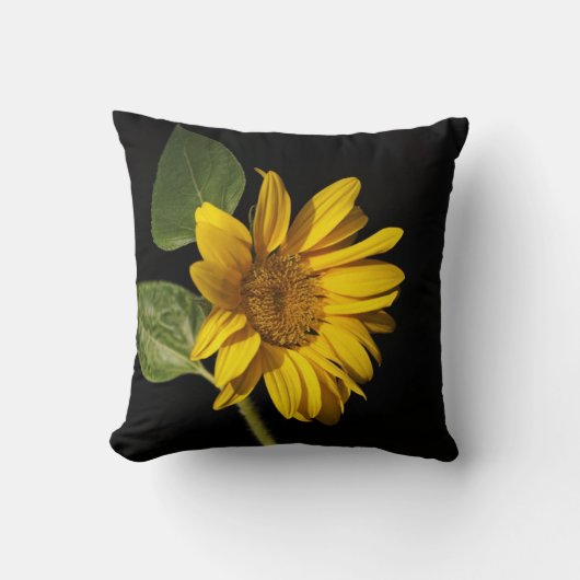 Sonnenblume クッション (正面)