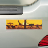 Sonnenuntergang in Afrika バンパーステッカー (車上)