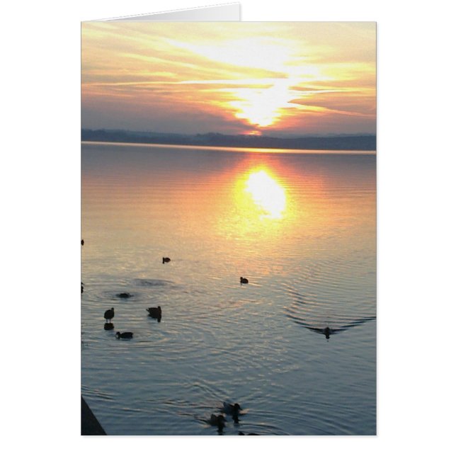 Sonnenuntergang mit Enten im See,Grusskarte,blanko (正面)