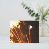 SONNENWENDFEUER IN STAUDEN BEI OBERNDORF ポストカード (スタンド正面)