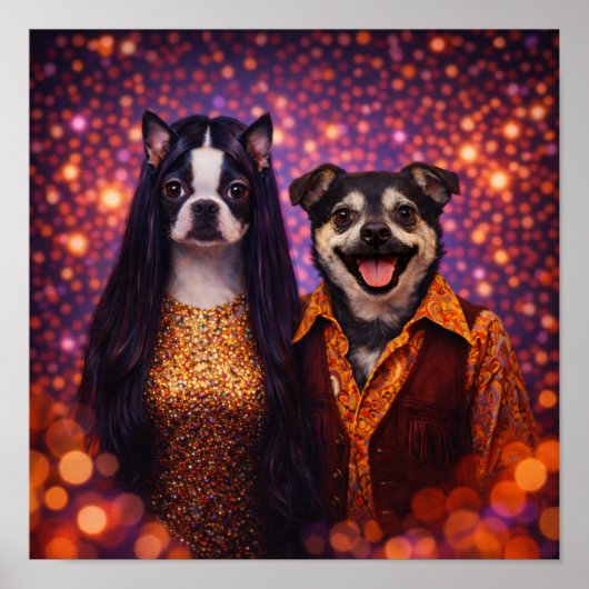 "Sonny & Cher" ポスター (正面)