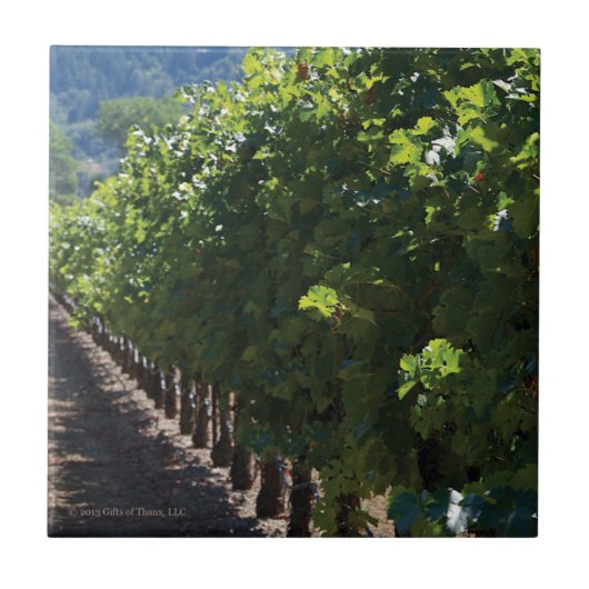 Sonoma郡のブドウ園-セラミックタイル タイル (正面)