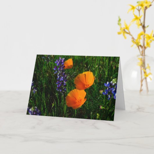 Sonoma郡の野生の花 カード (黄色い花)